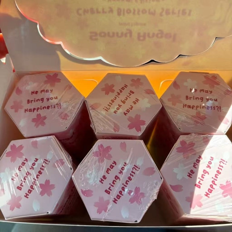 Sonny Angel Cherry Blossom Series Hanami Edition Whole Set Opened