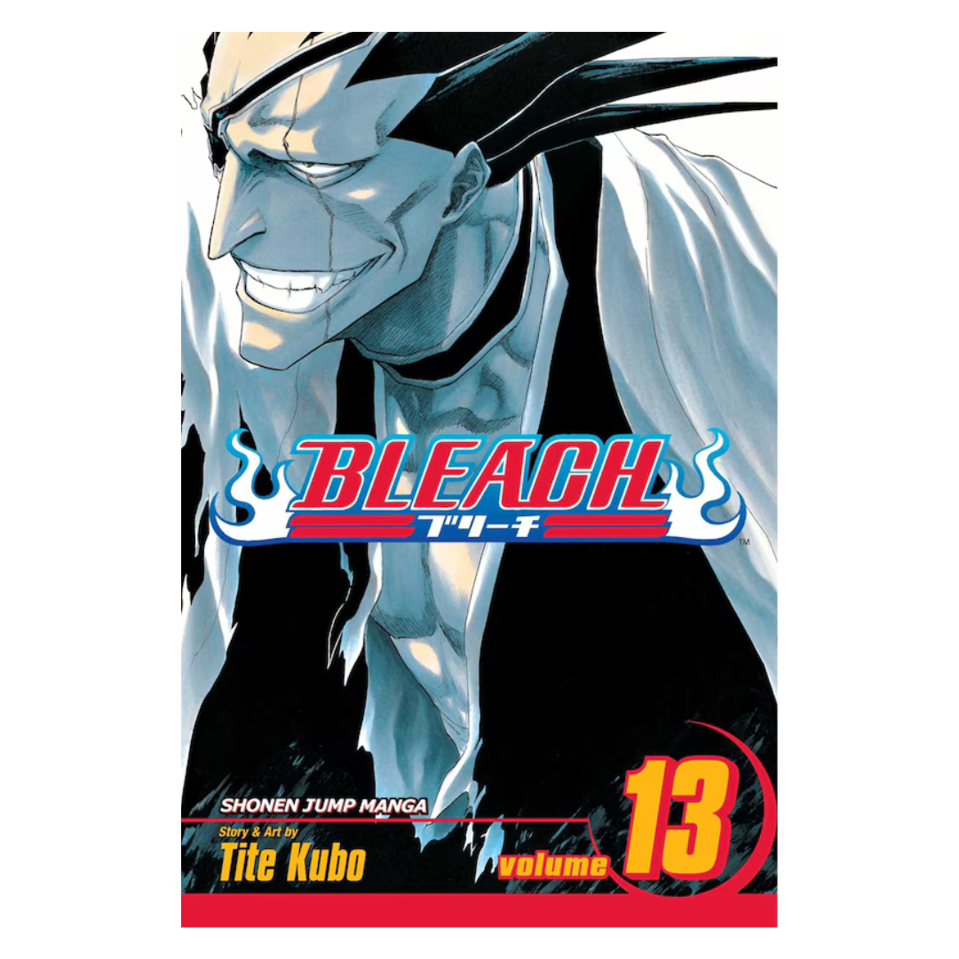 Bleach, Vol. 13