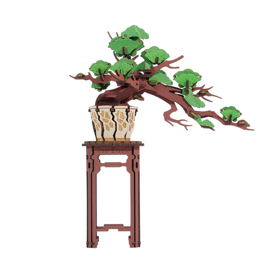 Modern Wooden Puzzle  Evergreen Pine Bonsai