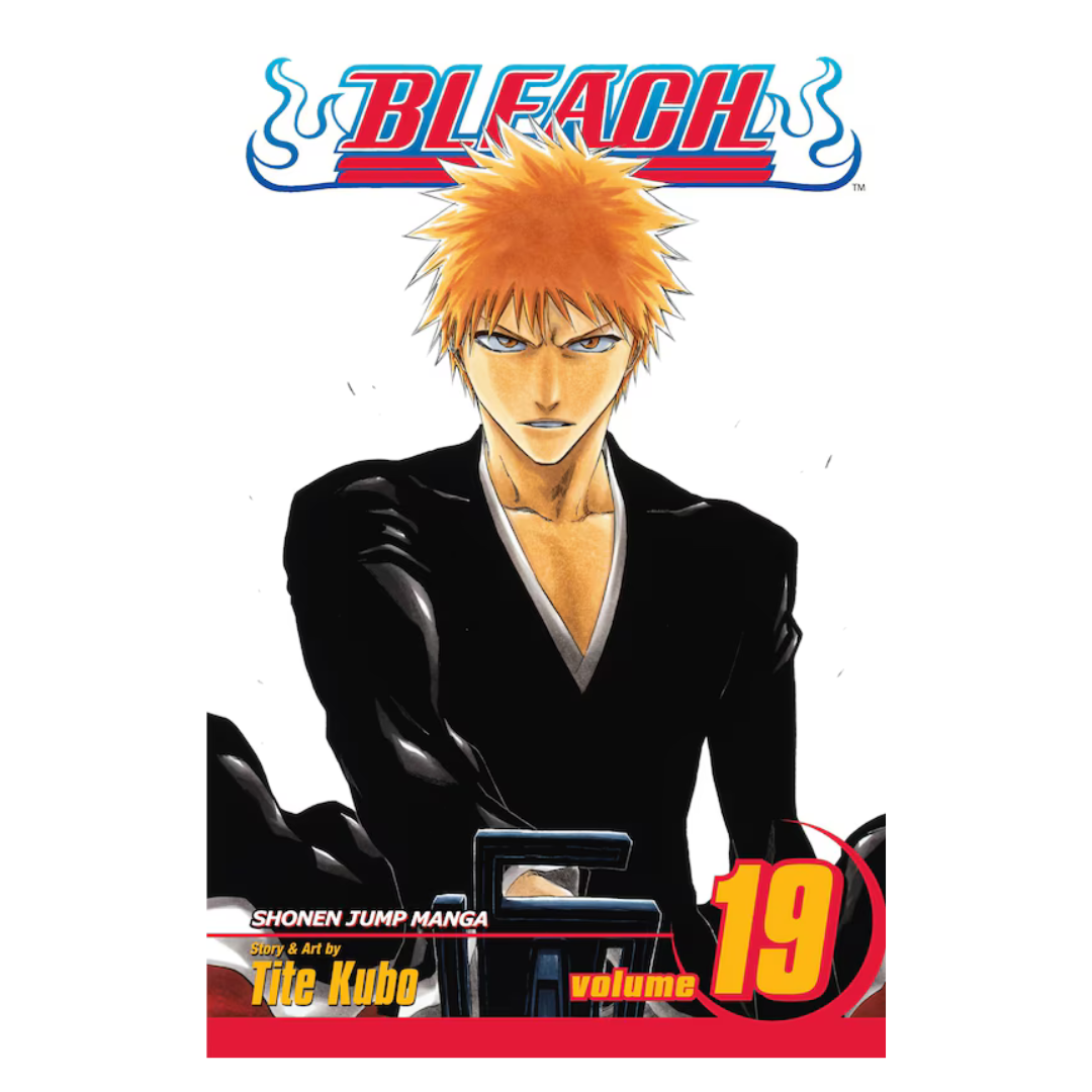 Bleach, Vol. 19