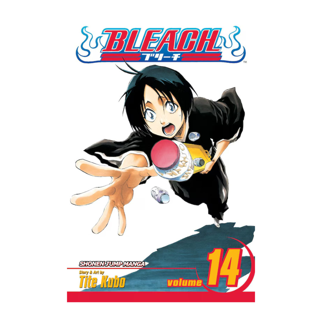 Bleach, Vol. 14